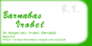 barnabas vrobel business card